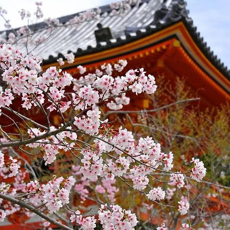 Stay SAKURA 京都 祇園北 外观 照片