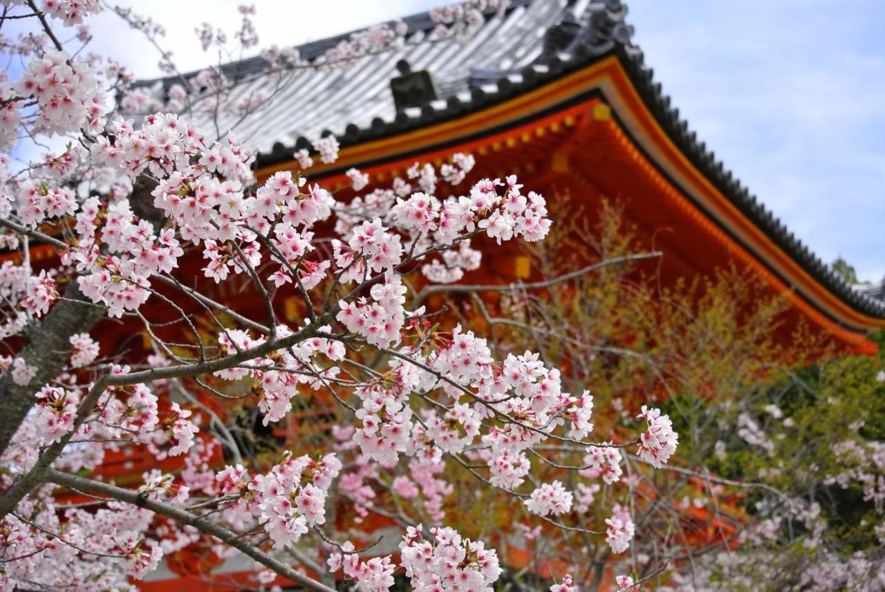 Stay SAKURA 京都 祇園北 外观 照片